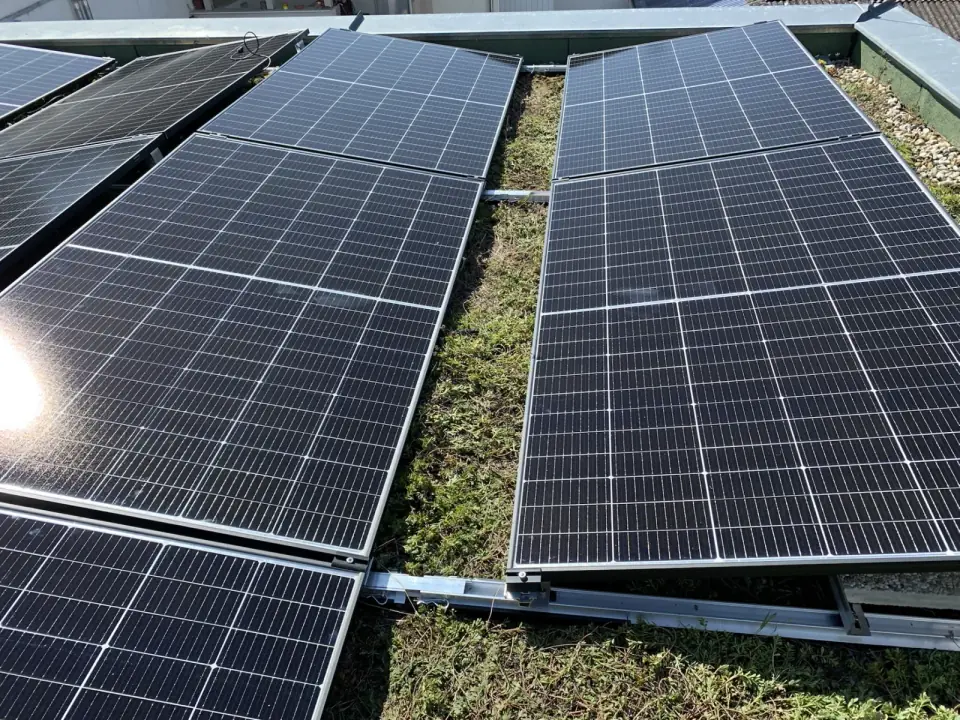 Photovoltaik Modulreihen auf Gründach in Baden